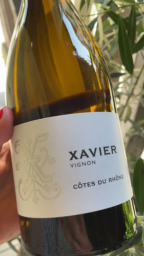 KONDRAT Wina Wybrane | Zielona Góra