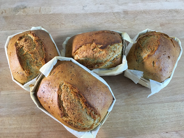 Fabryczna 1, 47-208 Reńska Wieś