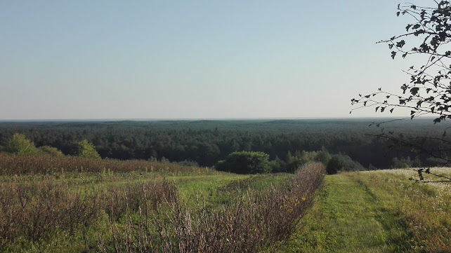 Surma Marian. Piekarnictwo, cukiernictwo - Gastronomia