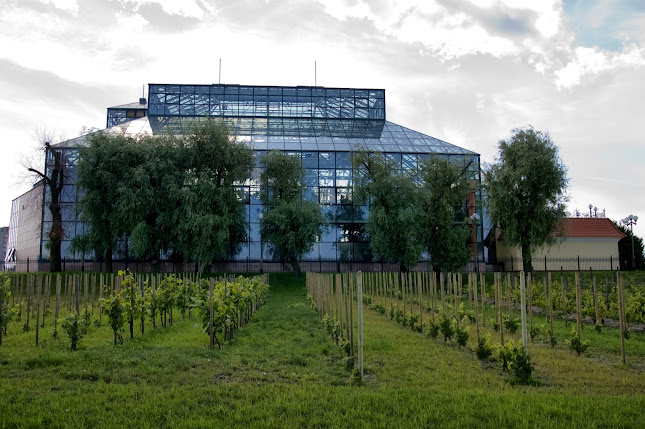 Restauracja Palmiarnia