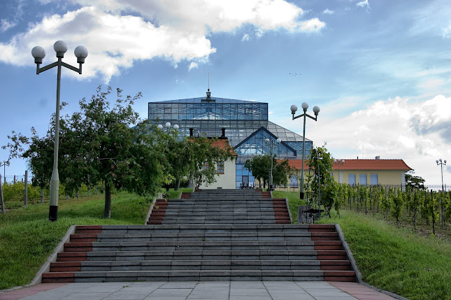 Opinii despre Restauracja Palmiarnia în Zielona Góra - Gastronomia