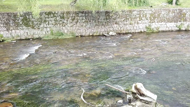 Polska Chata - Lądek-Zdrój