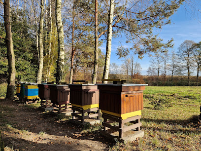 Pasieka Za Ogrodem