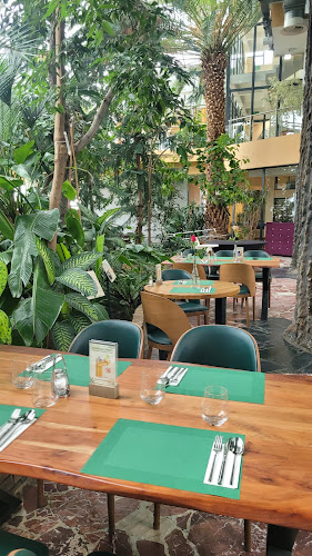 Comentarii opinii despre Restauracja Palmiarnia