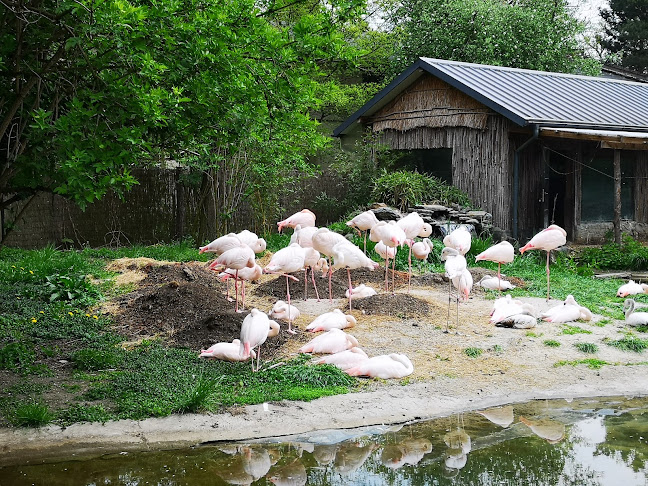 Karczma Pod Dębami - Opole