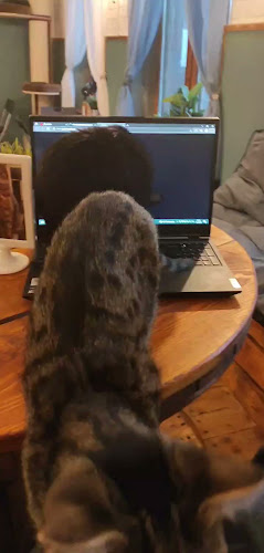 Opinii despre Kocia Kawiarnia Mruczkowo - Gliwice(7+) în Gliwice - Gastronomia