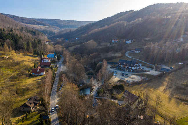 Restauracja Przy Młynie - Gastronomia