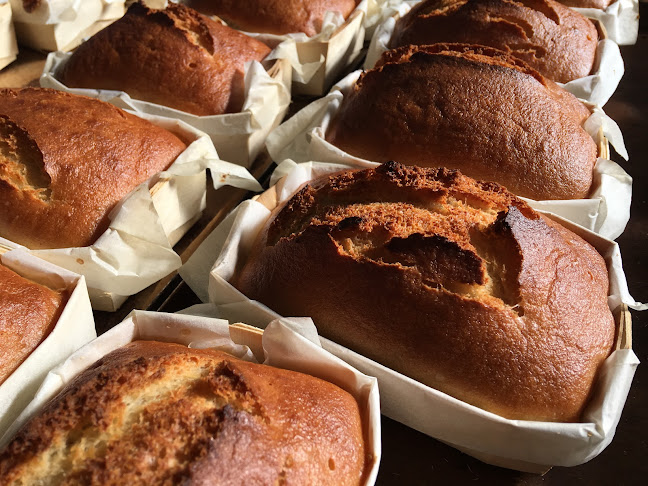Opinii despre Smolorz Bogdan Piekarnia BioPiekarz în Reńska Wieś - Gastronomia