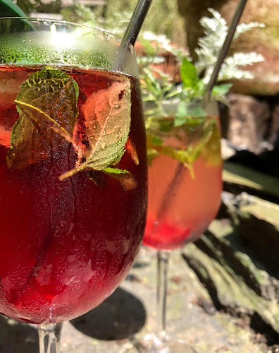 Comentarii opinii despre Miłość - Kuchnia Roślinna