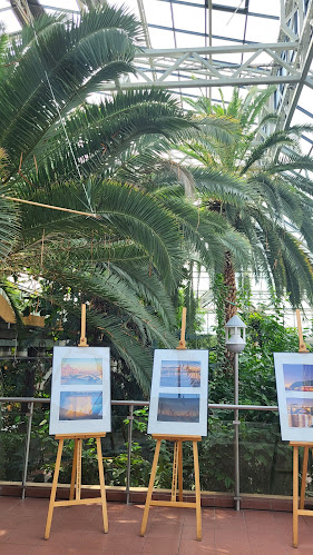 Opinii despre Restauracja Palmiarnia în Zielona Góra - Gastronomia