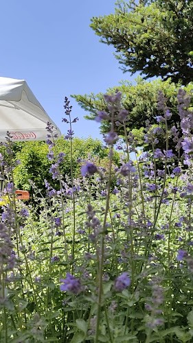 Comentarii opinii despre Karczma Maciejówka - restauracja k/Ojcowa