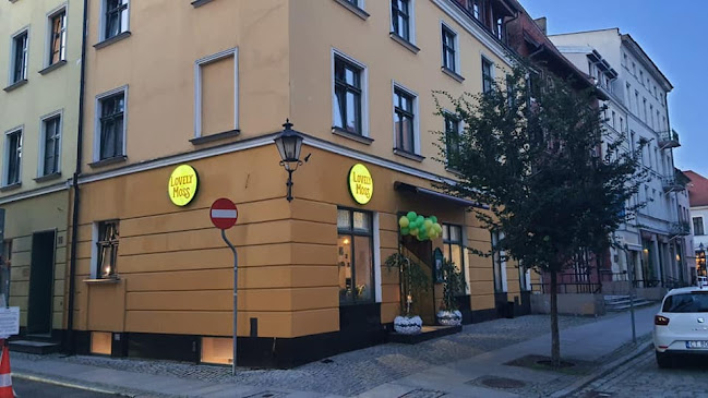 Mikołaja Kopernika 40, 87-100 Toruń