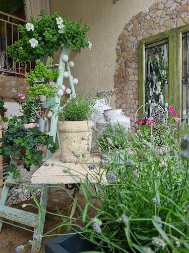 Comentarii opinii despre Tajemniczy Ogród Caffe & Ristorante