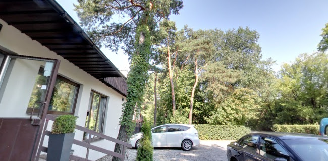 Opinii despre House of Curry în Warszawa - Gastronomia