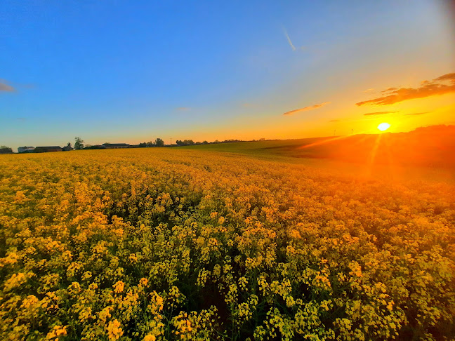 Opinii despre hydrofornia în Krzywie - Gastronomia
