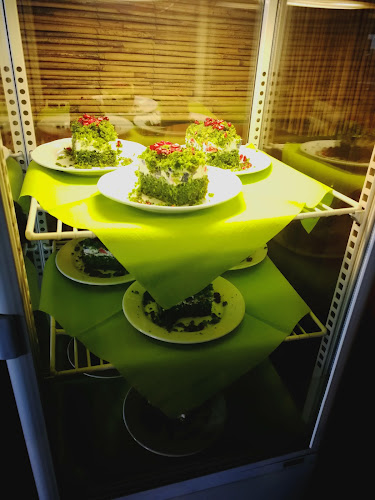 Sponti Restauracja Przy Zakopiance - Gastronomia