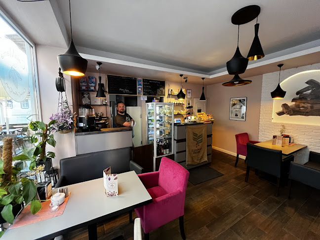 CalaMania - Polanica-Zdrój