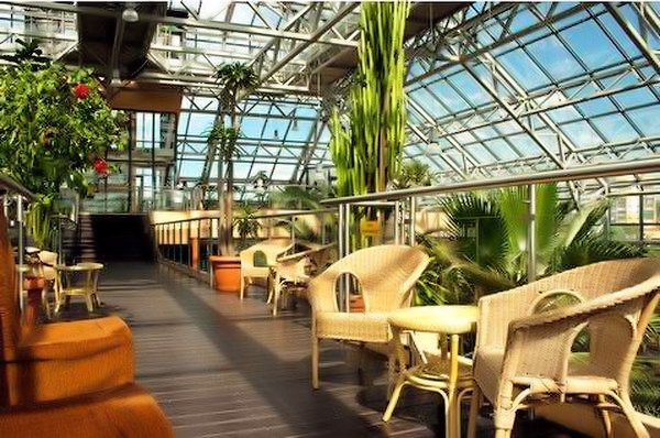 Restauracja Palmiarnia - Zielona Góra