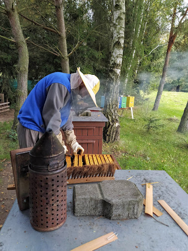 Opinii despre Pasieka Za Ogrodem în Niegoszowice - Gastronomia