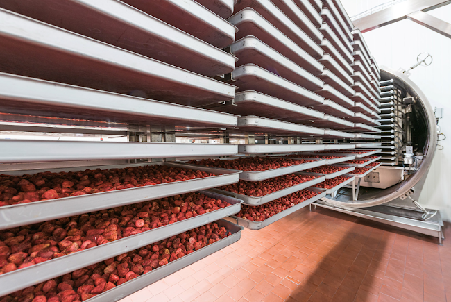 LST-Polska Sp. z o.o. - Gastronomia