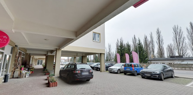 Różana Piekarnia Cukiernia Kawiarnia - Gastronomia