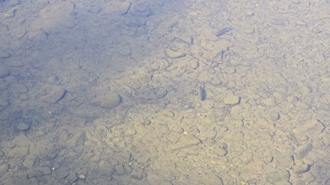 Aleja Legionów, 43-450 Ustroń, Polska