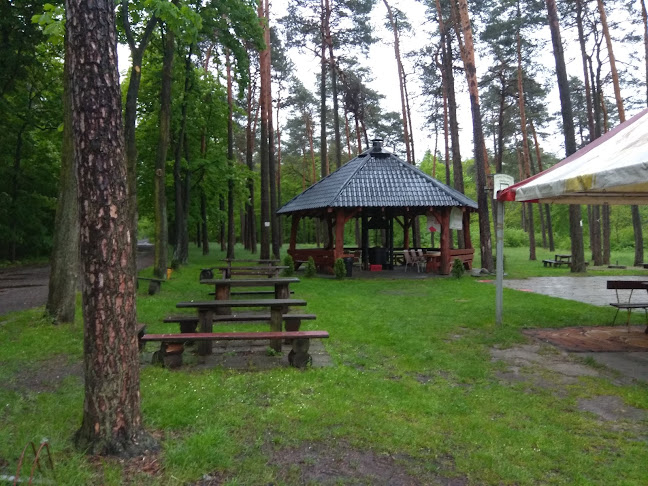 Bar U Wernera to jest teraz Leśna perełka - Gastronomia