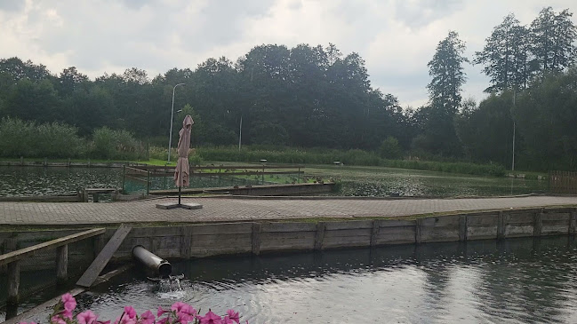 Opinii despre Karczma Karpiówka Restauracja Catering în Bełżec - Gastronomia