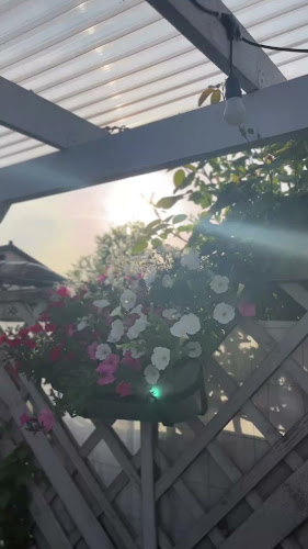 Opinii despre Made in Napoli by Siervo Syców în Syców - Gastronomia