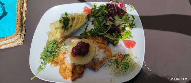 Restauracja Podzamcze - Gastronomia