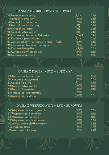 Opinii despre Hong Ha în Wałbrzych - Gastronomia