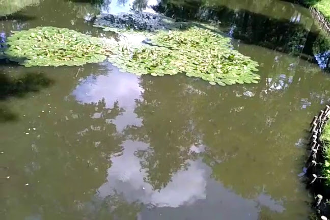 Restauracja Park Szwajcaria - Gastronomia