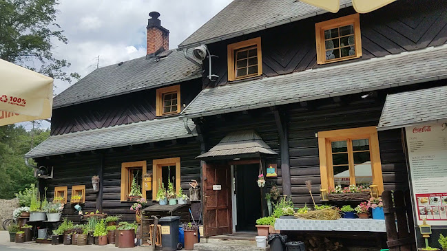 Opinii despre Perła Zachodu. Gościniec în Jelenia Góra - Gastronomia