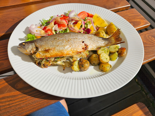 Restauracja Syrenka - Gastronomia