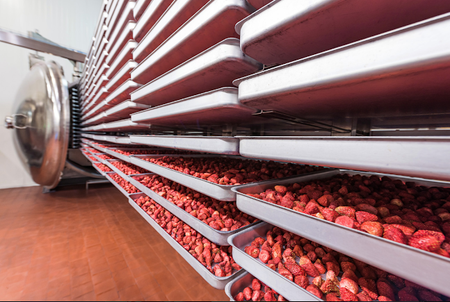 LST-Polska Sp. z o.o.