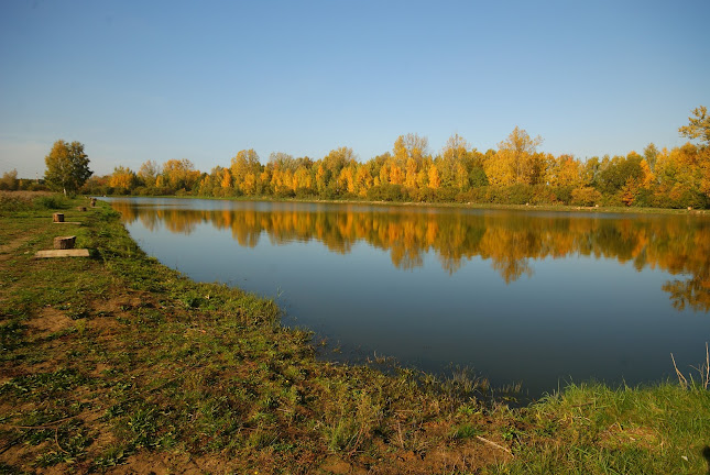 Bielika 4, 55-140 Ruda Żmigrodzka, Polska