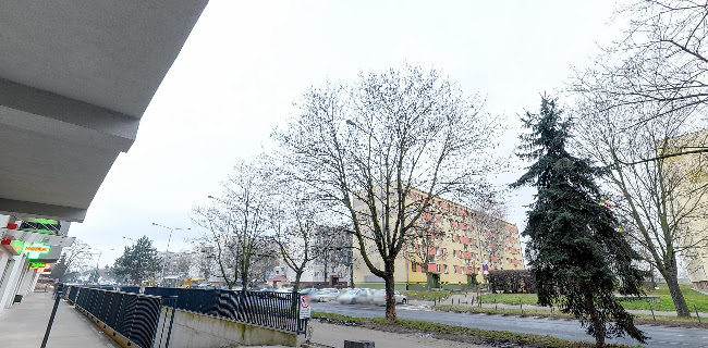 Różany Chruśniak - Wrocław