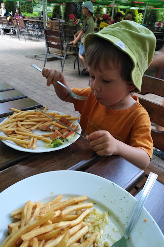 Opinii despre Karczma Pod Dębami în Opole - Gastronomia