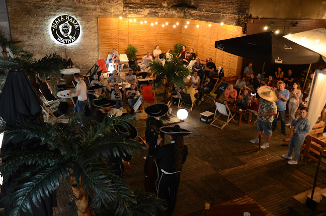 Biała Małpa - Katowice