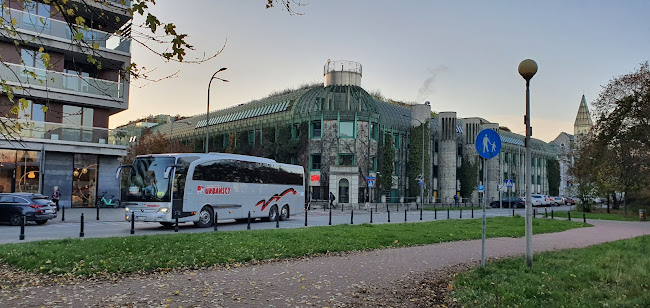 Boscaiola Pizzeria - Gastronomia