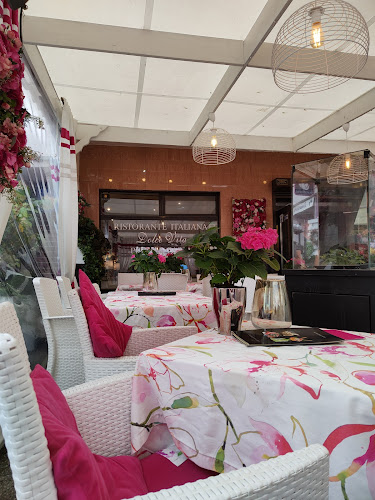 Comentarii opinii despre Dolce vita