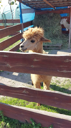 Zajazd U ,,GUMPERTÓW,,