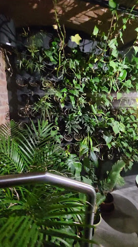 Dobry Zbeer - piwo kraftowe i kuchnia meksykańska - Gastronomia