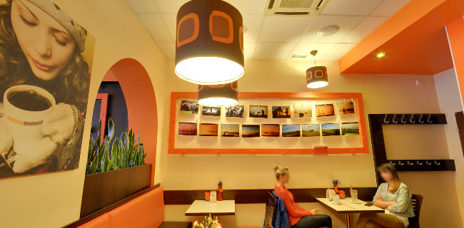 Książąt Opolskich 10/1c, 45-006 Opole