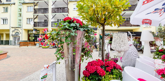 Comentarii opinii despre Dolce vita