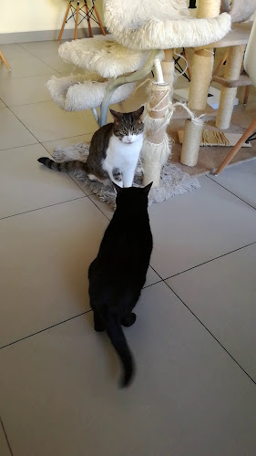 11 Listopada 16B (lokal na parterze), 85-643 Bydgoszcz