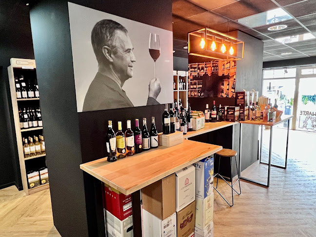 KONDRAT Wina Wybrane | Zielona Góra - Gastronomia