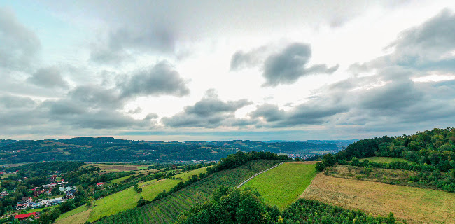 Restauracja Przy Młynie