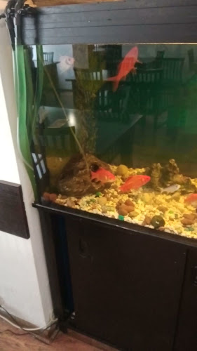 Restauracja Mekong - Warszawa