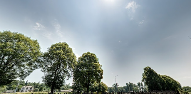 Opinii despre Karczma Zbójnicka în Jabłonna-Majątek - Gastronomia